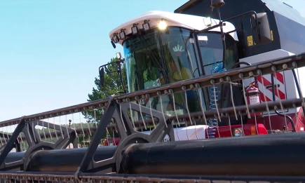 В Татарстане осталось убрать 77 тыс. га, из которых 59 тыс. га — подсолнечник - НТР 24