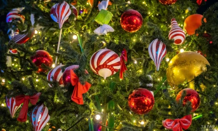 В Татарстане подготовили 30 тысяч новогодних подарков для детей участников СВО - телеканал НТР 24