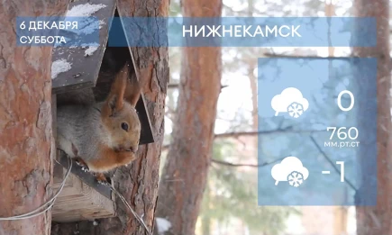 Прогноз погоды в Нижнекамске на 6-е декабря 2025 года - телеканал НТР 24