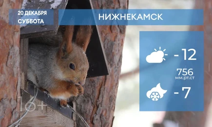 Прогноз погоды в Нижнекамске на 20-е декабря 2025 года - телеканал НТР 24