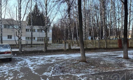 О серьёзной погодной аномалии в Татарстане заявил учёный КФУ - телеканал НТР 24