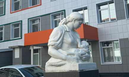 В Татарстане число абортов снизилось в 4 раза за пять лет - телеканал НТР 24