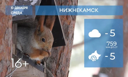 Прогноз погоды в Нижнекамске на 10-е декабря 2025 года - телеканал НТР 24