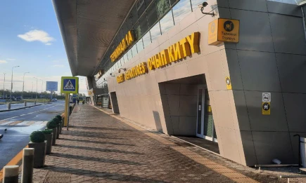 Двоих мужчин с накладными ресницами и набором для варки пива задержали в аэропорту Казани - НТР 24