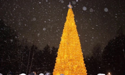 В пятницу в Нижнекамске откроется центральная ёлка — программа праздника - телеканал НТР 24