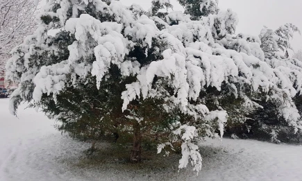 Выходные начнутся в Татарстане с метели, тумана и сильного снегопада - телеканал НТР 24