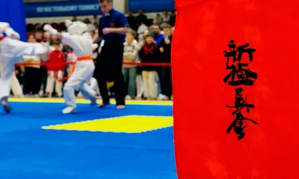 Нижнекамские каратисты завоевали более 20 медалей на турнире в Казани - НТР 24