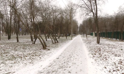 Какая погода будет в Татарстане в ближайшие дни 12–16 декабря, рассказали синоптики