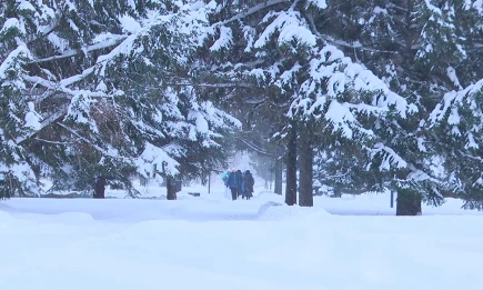 Татарстан накроют дожди, после которых придут зимние морозы - телеканал НТР 24