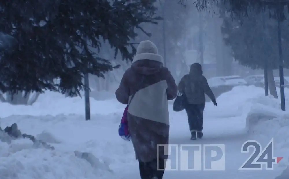 прохожие зимой снегопад