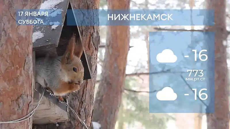 Прогноз погоды в Нижнекамске на 17-е января 2026 года