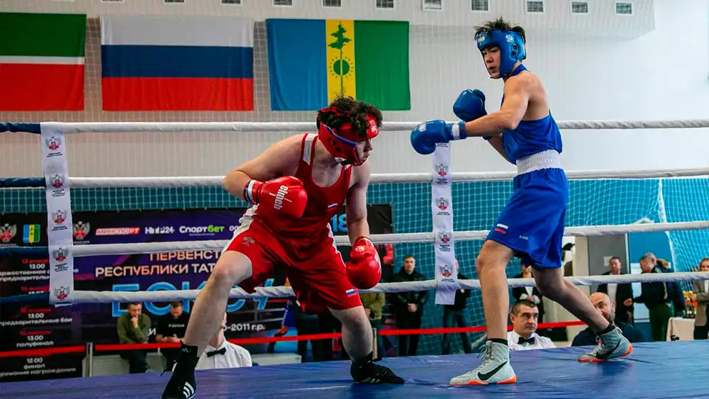 Боксёры на ринге