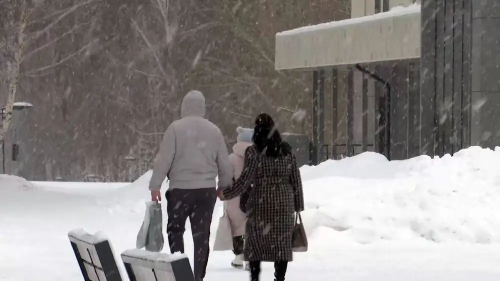 снегопад прохожие зима