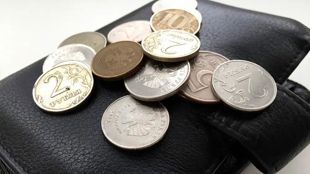 Монеты на кошельке