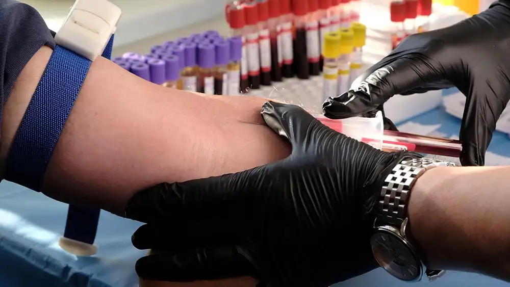 процедурная медсестра делает забор венозной крови на анализ