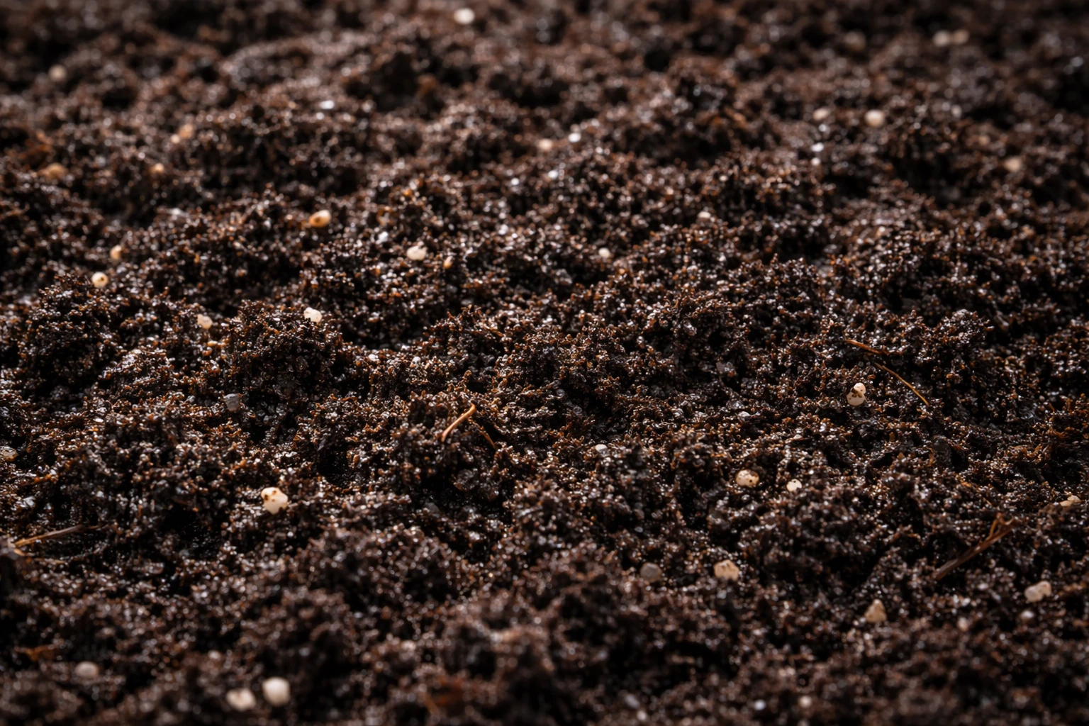 Земля для рассады