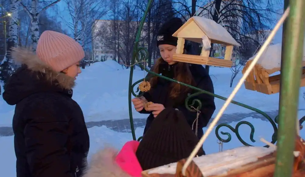 Кормушка для птиц зимой