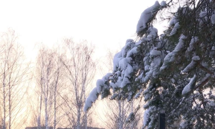 Снегопад и метель вновь накроют Татарстан 8 января - телеканал НТР 24