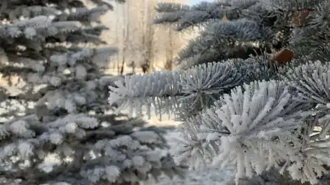 К концу недели в Татарстане ударят морозы до -35 градусов - телеканал НТР 24