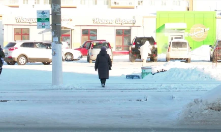 В Татарстан придут метель и мороз до -21: прогноз на 3 января - телеканал НТР 24