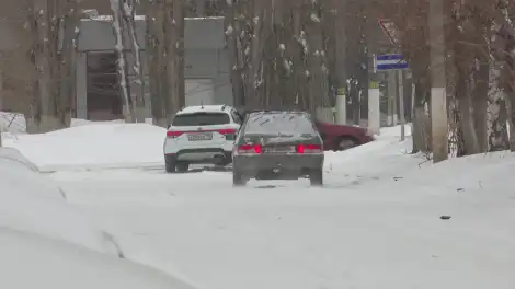 Нижнекамцев предупредили о фальшивых сайтах автошкол для сбора денег - телеканал НТР 24