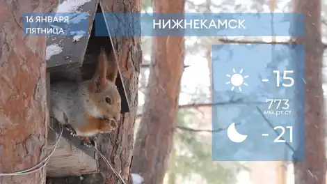 Прогноз погоды в Нижнекамске на 16-е января 2026 года - телеканал НТР 24