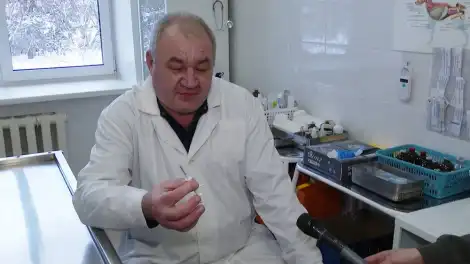 Обязательная регистрация собак в Нижнекамске: цена вопроса, процедура и возможные штрафы - телеканал НТР 24