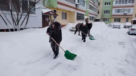 Соседи помогают дворникам: как Нижнекамск переживает аномальный снегопад - телеканал НТР 24