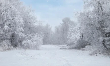 «Пик морозов в Татарстане пройден»: синоптики объявили о скором потеплении - телеканал НТР 24