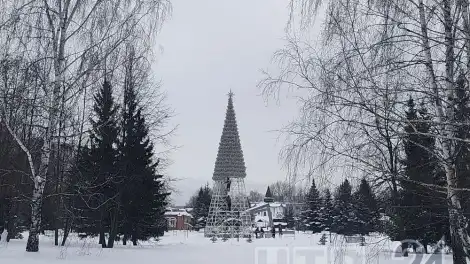 В Нижнекамске начался демонтаж новогодних ёлок - телеканал НТР 24