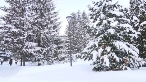 Климатолог КФУ: температура в январе растёт на 1 градус за десятилетие