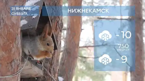 Прогноз погоды в Нижнекамске на 31-е января 2026 года - телеканал НТР 24