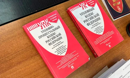 По адресу на карте: как найти своего мирового судью в Татарстане за минуту - телеканал НТР 24