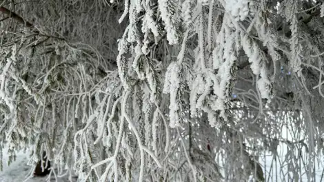 23 января в Татарстане ожидаются сильные морозы до -33 градусов - телеканал НТР 24