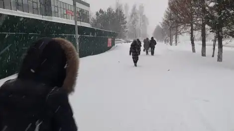 Татарстанцев предупредили о продолжительной метели - телеканал НТР 24