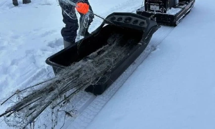 На Каме в Нижнекамском районе нашли 150 «экранов» для подледной рыбалки - телеканал НТР 24