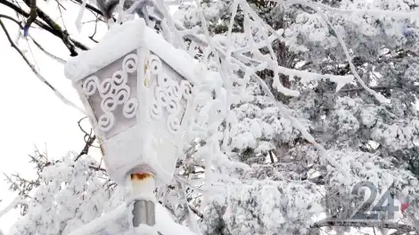 Профессор КФУ: нынешняя зима в Татарстане значительно суровей прошлогодней - телеканал НТР 24