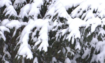 Снегопады и метель в Татарстане прогнозируют синоптики - телеканал НТР 24