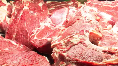 Татарстан может стать транспортным хабом для поставок афганского мяса и молока - телеканал НТР 24