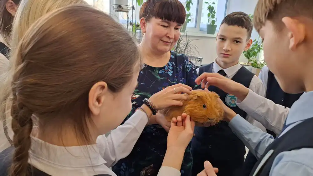 Дети гладят морскую свинку