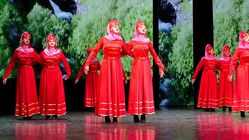 Выступление на концерте