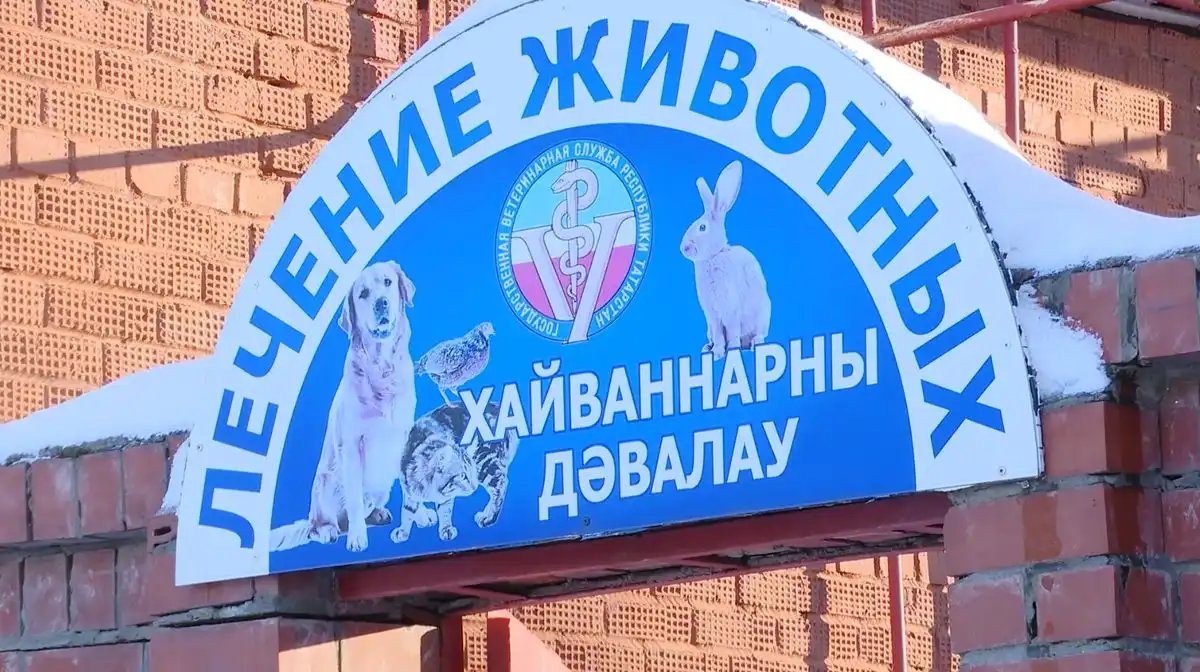 государственная ветеринарная клиника в Нижнекамске