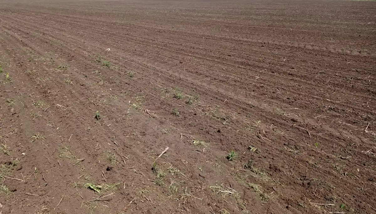 В Челнах 191 многодетная семья предпочла компенсацию земельному участку - телеканал НТР 24