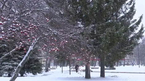 Метеоролог предупредил Татарстан о новом циклоне с потеплением и снегопадами - телеканал НТР 24
