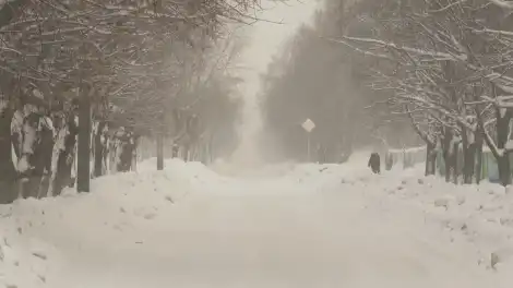 Метель и порывистый ветер накроют Татарстан в субботу - телеканал НТР 24