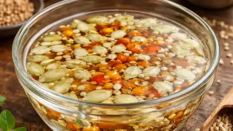 Подготовка семян к посеву: замачивание и стратификация - телеканал НТР 24