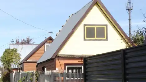 Юрист предупредил о штрафах до 50 тысяч рублей за сорняки на даче - телеканал НТР 24