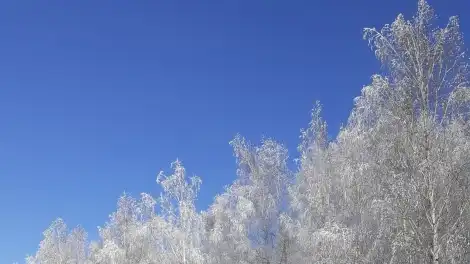 Какая погода будет в последние дни зимы в Татарстане, рассказали синоптики - телеканал НТР 24