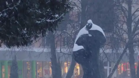 Морозы до –30 позади: какие сюрпризы готовит погода в Татарстане - телеканал НТР 24