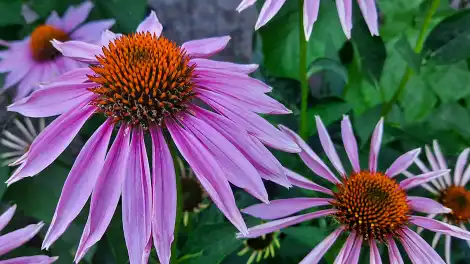 Каким будет лето 2026 года в регионах России – синоптики дали прогнозы - телеканал НТР 24